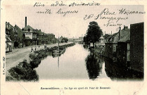 Lys au quai du pont de Beauvais