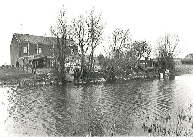 Lys vue du chemin des Prés du Hem au niveau de la rue des Jardiniers à Nieppe