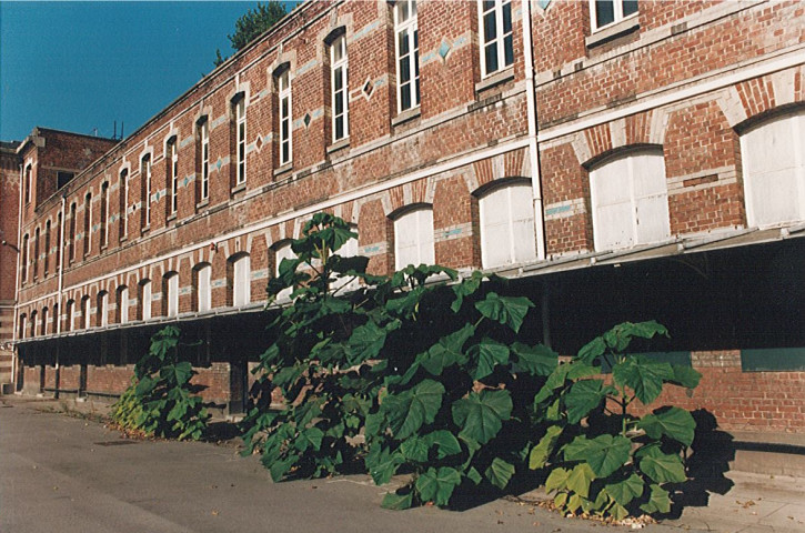 Collège de jeunes filles