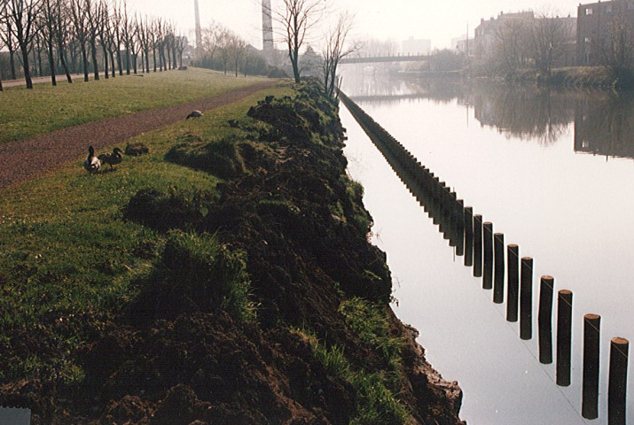 Berges de la Lys renforcées