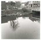 Lys au niveau du quai de Beauvais et du pont de l'abattoir