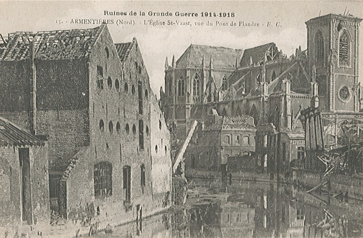 Lys derrière l'église Saint-Vaast en ruines