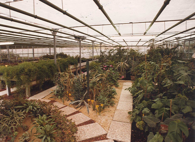 Serres municipales au complexe sportif Léo Lagrange