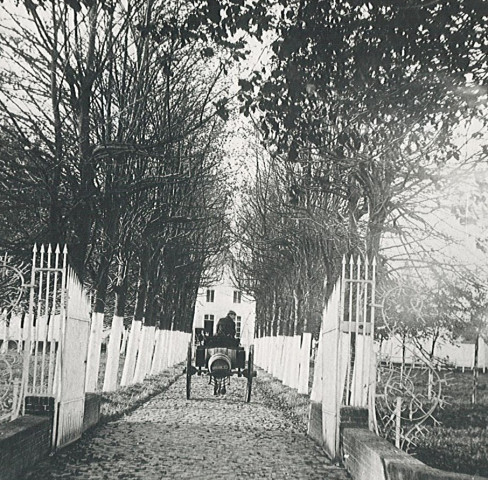 Allée d'arbres menant au château d'Oosthove