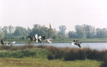 Plan d'eau de la base des Prés du Hem