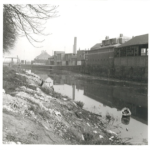 Lys au niveau du quai de Beauvais