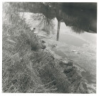 Lys passant derrière les usines route d'Houplines à Armentières et rue Victor Hugo à Houplines