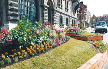 Parterres floraux devant l'hôtel de ville