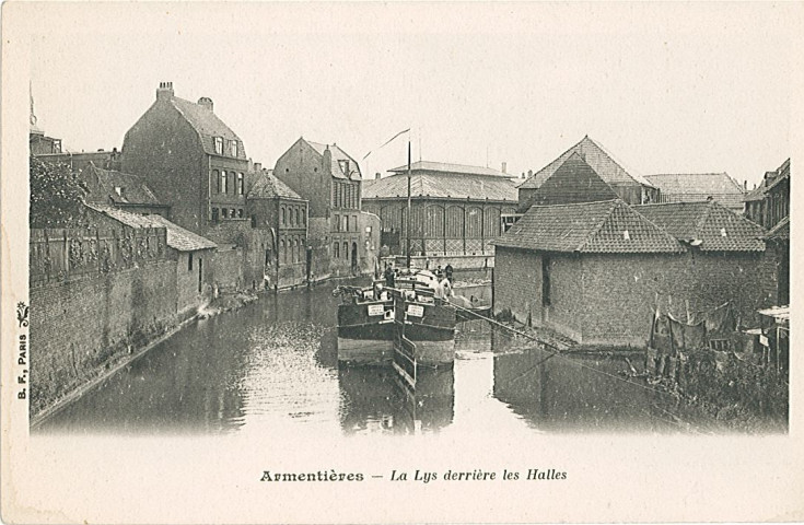 Lys derrière les Halles