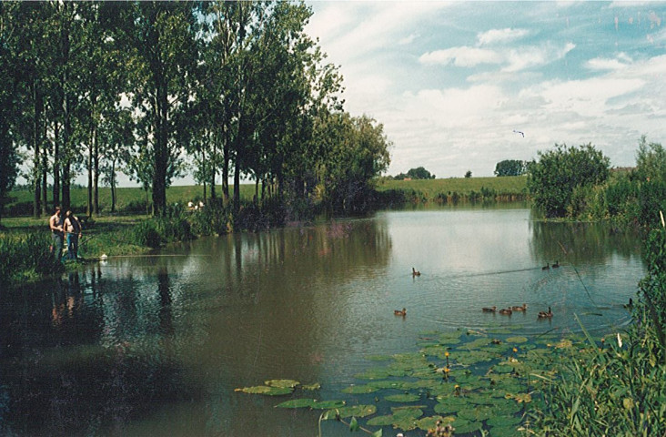 Lys à la base des Prés du Hem