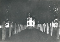 Allée d'arbres menant au château d'Oosthove