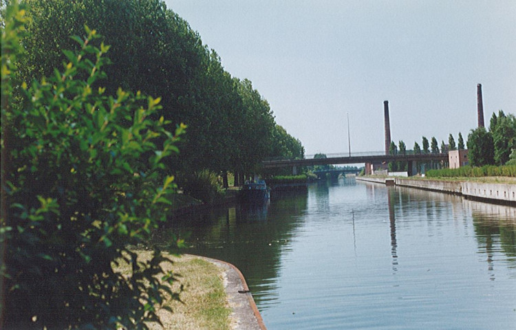 Lys au canal de dérivation