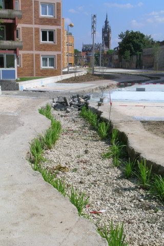 Aménagement de la coulée verte le long des immeubles rue des Fusillés