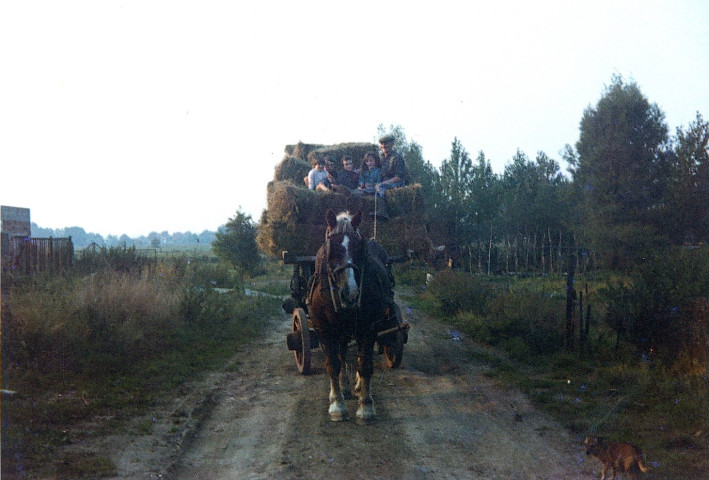 Véhicule hippomobile de la ferme Demon