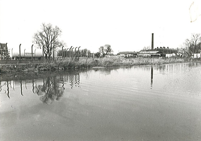 Lys vue du chemin des Prés du Hem entre l'usine d'incinération et la casse automobile