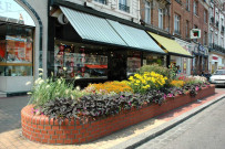 Aménagement floral à l'occasion de « La ville en fleurs »