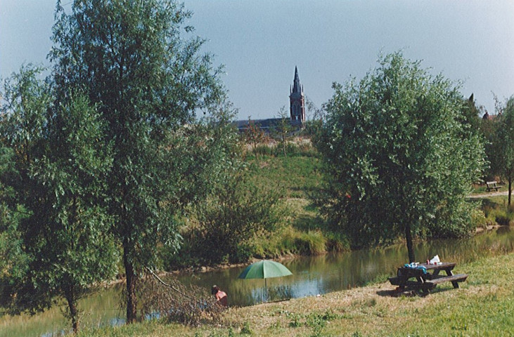 Lys à la base des Prés du Hem