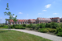 Lotissement d'habitations allée de la Lavande et rue des Chênes