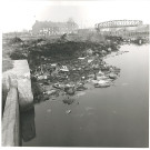 Lys au niveau du pont d'Houplines