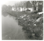 Lys au niveau du quai de Beauvais