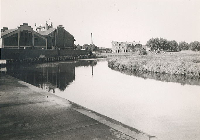 Lys derrière l'abattoir