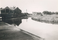 Lys derrière l'abattoir